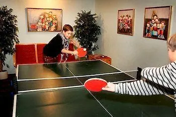 호텔 호텔 헤르닝 3*