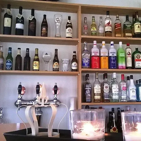 호텔 헤르닝 호텔 3*